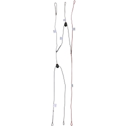 Ozone Pro Tune Speed System - R1V2 and R1V3